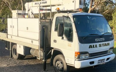 imgi_5_13m_cherry-copy